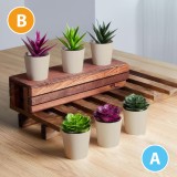 Cumpara ieftin Decor plante artificiale - &icirc;n ghiveci - 6 x 9 cm - 6 tipuri Best CarHome, Oem