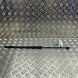Amortizor capota dreapta față FORD PUMA J2K, CF7 2024 OEM: L1TB-S406A10-AC 31987773