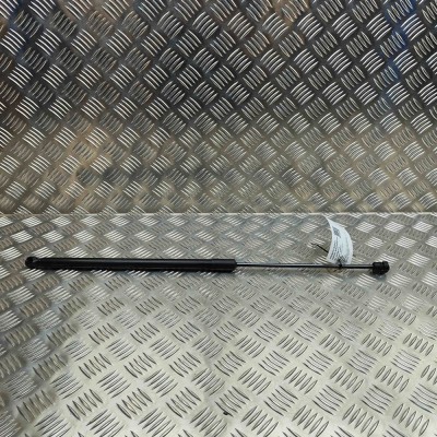 Amortizor capota dreapta față FORD PUMA J2K, CF7 2024 OEM: L1TB-S406A10-AC 31987773 foto