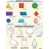 Plansa A2 Figuri si corpuri geometrice