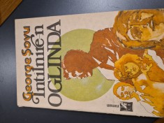 Intalnire-n oglinda-George Sovu
