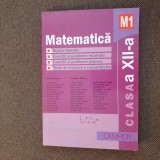 Marius Burtea - Matematica. Clasa a XII-a
