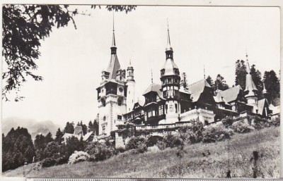 bnk cp Sinaia - Muzeul Peles - necirculata foto