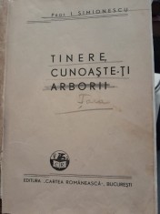 I. Simionescu - 4 lucrari coligate: vol II,III, IV din Pitorescul Romaniei si Tinere, cunoaste-ti arborii foto