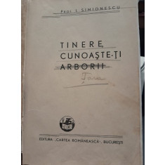 I. Simionescu - 4 lucrari coligate: vol II,III, IV din Pitorescul Romaniei si Tinere, cunoaste-ti arborii