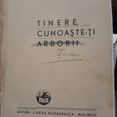 I. Simionescu - 4 lucrari coligate: vol II,III, IV din Pitorescul Romaniei si Tinere, cunoaste-ti arborii