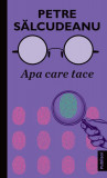 Apa care tace - Paperback brosat - Petre Sălcudeanu - Publisol, 2022