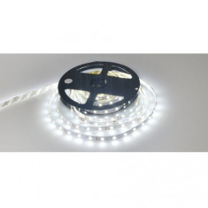 Banda led alb neutru, Interior, 12V, Leduri SMD, 5m