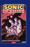 Sonic the Hedgehog 2. Soarta doctorului Eggman - Ian Flynn, Grafic