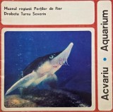 Acvariu. Muzeul regiunii Portilor de Fier (Brosura turistica)