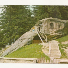 RF16 -Carte Postala- Jud. Suceava, Putna, necirculata 1977