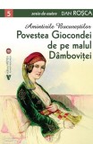 Amintirile Bucureștilor 5 - Paperback brosat - Dan Roșca - Vremea