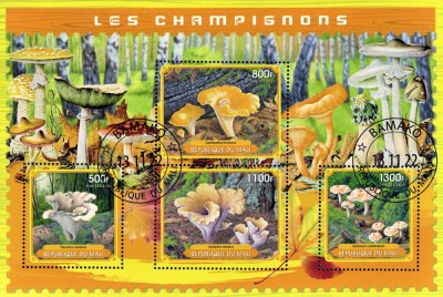 MALI 2022 - Ciuperci / set complet colita + bloc foto