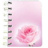 Cumpara ieftin Carnet cu Spira Trandafir roz-pal, 7x10 cm, 75 File Velina, Hartie 90 g/mp, Editura Soapta Stelelor