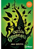 Cumpara ieftin O Oglinda Grimminala, Adam Gidwitz - Editura Art