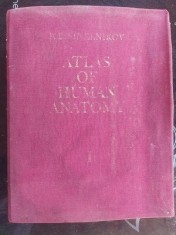 Atlas of human anatomy vol 1- R. D. Sinelnikov UZAT