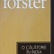 O CALATORIE IN INDIA-E.M. FORSTER-184691