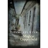 Magyar Copperfield - Berem&eacute;nyi G&eacute;za
