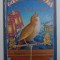 THE NIGHTINGALE by HANS CHRISTIAN ANDERSEN , illustrated by CATHERINE HUERTA , 1996 ,