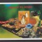 MADAGASCAR FAUNA 1999 MI: - MNH