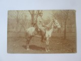 Fotografie sepia model carte postala militar cavalerie anii 20, Romania 1900 - 1950, Portrete