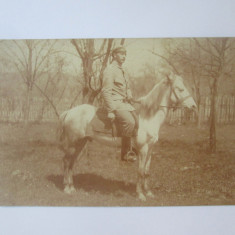 Fotografie sepia model carte postala militar cavalerie anii 20