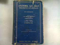 ANATOMIA LUI GRAY , volumul 3 foto