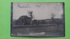 Suceava, Radauti , Radautz ,1918, Bukowina , Bucovina foto