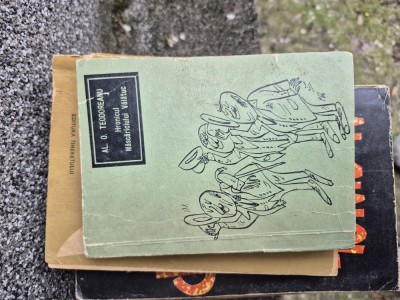 Hronicul vintage foto