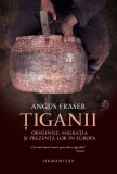 Țiganii - Hardcover - Angus Fraser - Humanitas