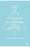 Ce inseamna sa fii un lider bun - Daniel Goleman