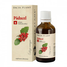 Tinctura de paducel, 50ml, Dacia Plant