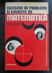 Culegere de probleme și exerciții de matematică pentru admiterea &icirc;n &icirc;nvățăm&acirc;ntul superior - Rodica Trandafir, Alexandru Leonte
