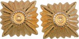 WW2 Rank German Golden Pips WH LW SS large