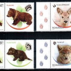 Romania 2012, LP 1960 c, Pui de animale, seria cu viniete dreapta, MNH!