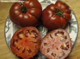 Tomate , rosii soiul BLACK BEAR - ursul negru - 5 seminte pentru semanat