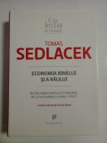 ECONOMIA BINELUI SI A RAULUI - Tomas SEDLACEK