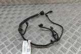 Cablaj senzor de parcare spate PORSCHE PANAMERA 970 2012 OEM: 97061280100 31386403