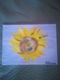 TABLOU PE PANZA CU SASIU NOU 30X40 CM FLOAREA SOARELUI PICTOR FLORIAN PRET 30 LEI, Flori, Acrilic, Abstract