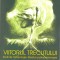 Viitorul trecutului Mircea Anghelescu
