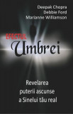 Efectul Umbrei - Paperback - Debbie Ford, Dr. Deepak Chopra, Marianne Williamson - Adevăr divin