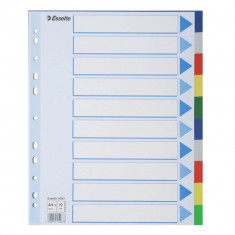 Index A4 Maxi Esselte, Plastic, cu 10 Separatoare Colorate, Index cu Separatoare Colorate, Index cu 10 Separatoare Colorate, Index de Plastic cu Separ