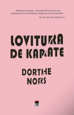 Lovitura de karate/Dorthe Nors foto