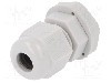 Presetupa poliamida, M12, IP68, RITTAL - 2411.601