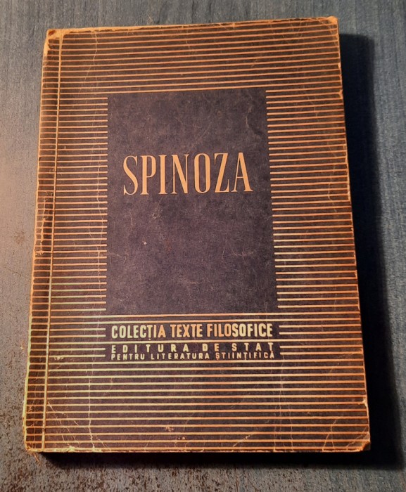 Spinoza C. I. Gulian