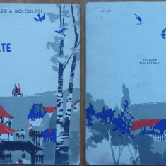 Valeria Boiculesi , Un oaspete drag , 1960 , editia 1 , ilustratii de D. Ionescu