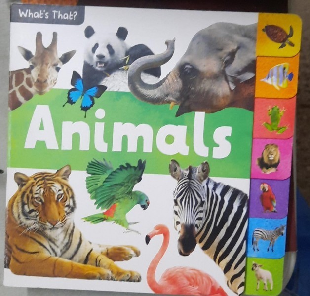 Animals (Animale - carte in limba engleza)