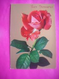HOPCT 11364 TRANDAFIRI -CP FELICITARE FLORI-ITALIA -EUROPA -NECIRCULATA
