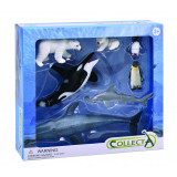 Set 7 figurine pictate manual Animale Antarctica, 3 ani+, Collecta