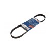 Curea Transmisie Caneluri Smart Fortwo 451 (2007-&gt;) 1.987.946.156